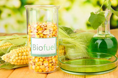 Fordie biofuel availability